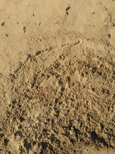 Николай:  Песок с доставкой по Тобольску