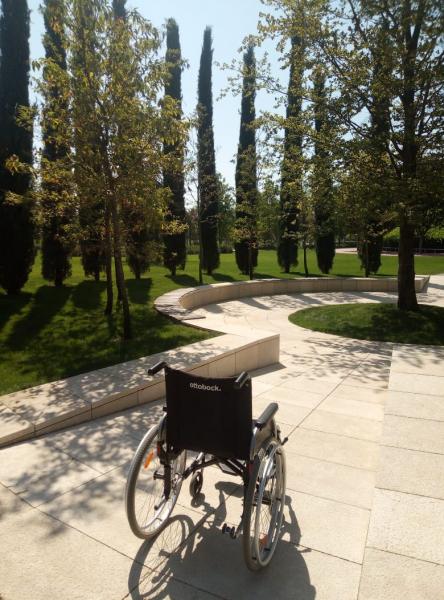 Бюро Добрых Дел:  Прокат инвалидных колясок в парке Сергея Галицкого
