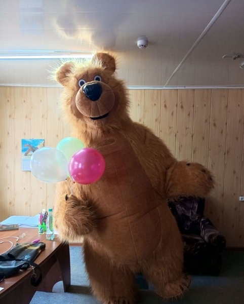 Зайка, Мишка, белый Мишка, бурый Мишка, панда