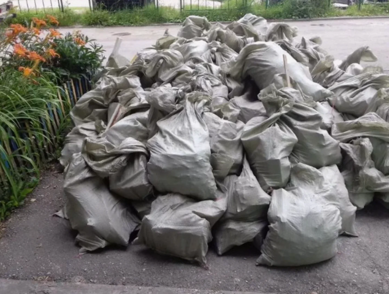 Виталий:  Вывоз мусора в Красном Бору