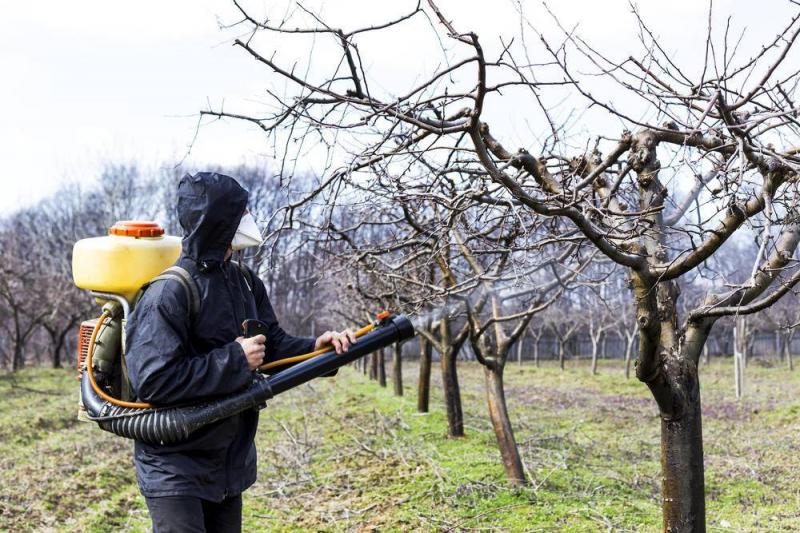 СЭС БИОТРИКС:  Весенняя обработка,опрыскивание деревьев Троицк(е)