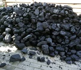 Лариса Горн:  Уголь мешками и тоннами
