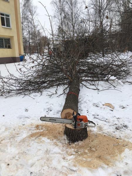 Центр обслуживания насаждений:  Спилим деревья в Хабаровске по доступной цене