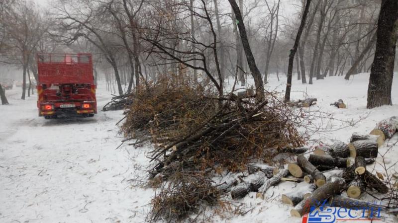 Центр обслуживания насаждений:  Спилим деревья в Хабаровске по доступной цене