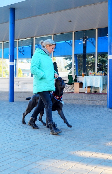 Ирина: Дрессировка собак в Саратове