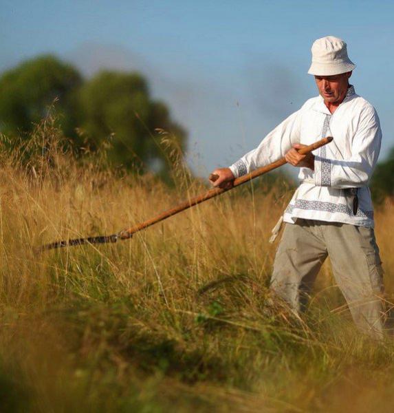 Саша:  Покос травы и кустарников триммером в Вологде  недорого