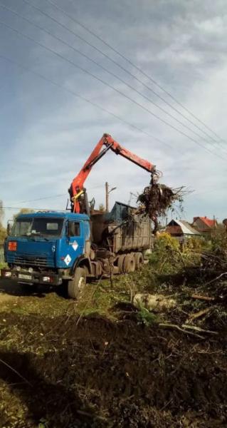 Роман:  Спил деревьев, веток, расчистка участка Нижний Новгород