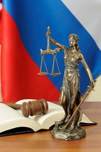 Алексей:  юридическая помощь по уголовным/гражданским делам 