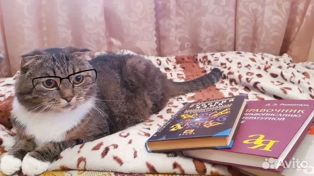 Репетитор по русскому языку