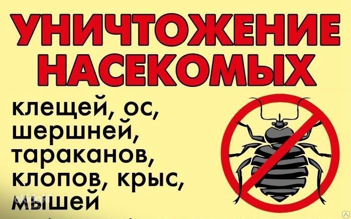 Сергей:  Уничтожение насекомых