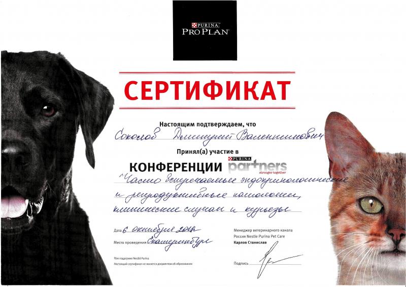Дмитрий:  Ветеринар на дом