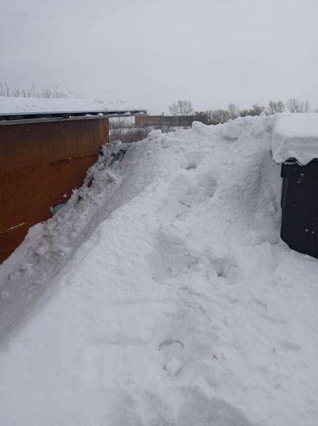 Виталий:  Чистка и уборка снега