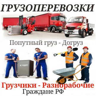 Грузоперевозки