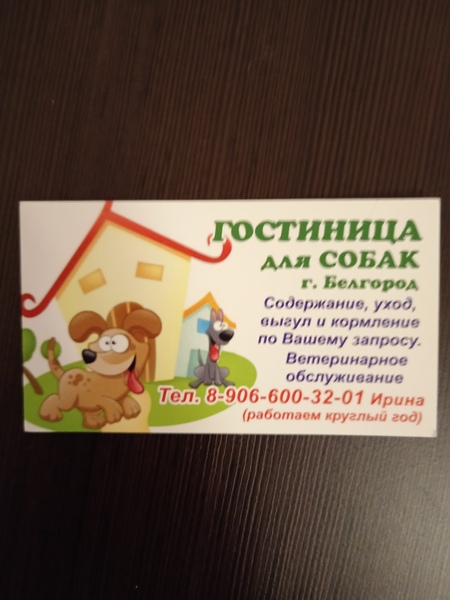 Гостиница для Собак