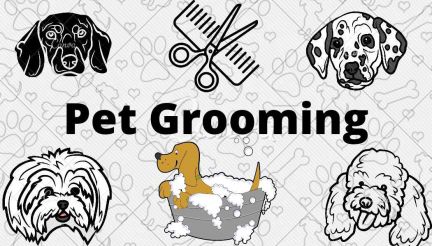 Груминг собак