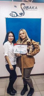 Груминг Балашиха