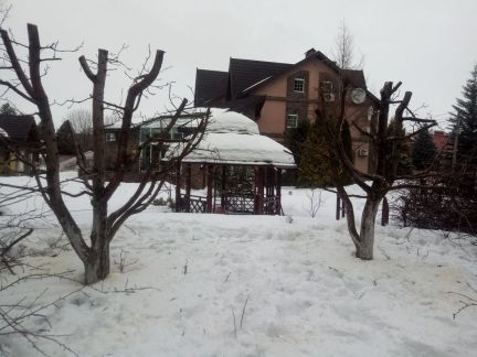 Прививка деревьев в тольятти