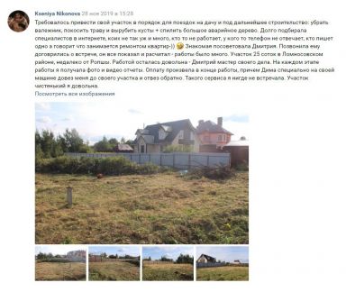Дмитрий Иванов:  Расчистка участка от кустов и деревьев