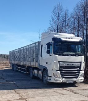 Скотовоз услуги цены в Симферополе - купить у фирм и частников на Проминдекс