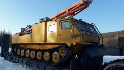 Построить дом в свободном