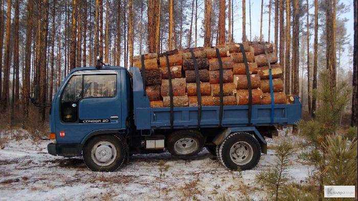 Дрова в бурятии. Мазда Титан 8 кубов дров. Грузовик с дровами. Грузовичок с дровами. Грузовик груженный дровами.