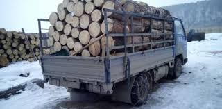 Павел:  продажа дров,вывоз мусора снега и другие услуги