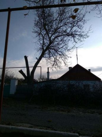 Анатолий:  Спил деревьев Симферополь  и по Крыму 