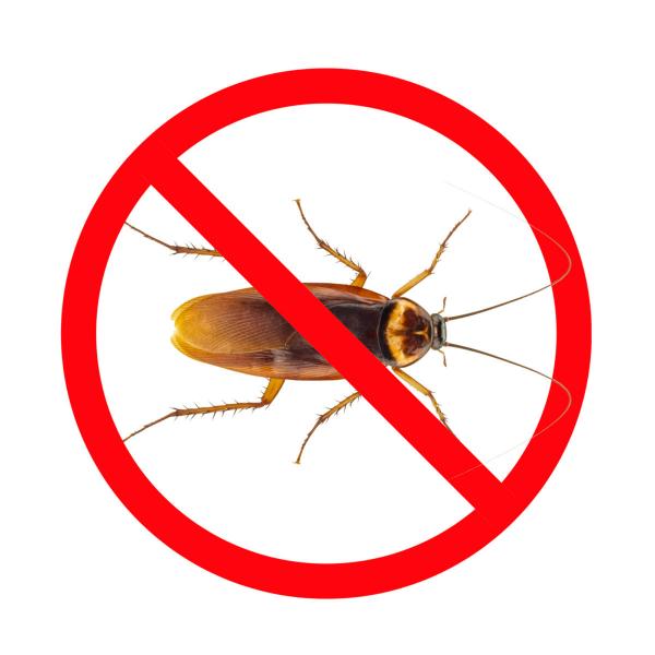 Российская служба дезинфекции :  Уничтожение тараканов! Гарантия до 5 лет!