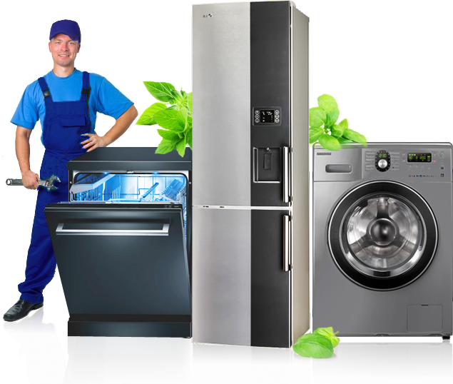 Алексей:  Ремонт стиральных машин, холодильников,водонагревателей