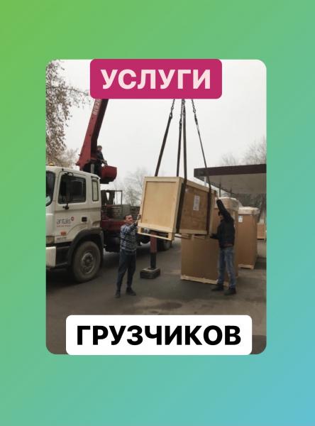 Василий:  Грузчики Грузоперевозки Королев