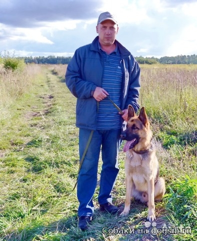 Олег Кононов:  Дрессировка собак