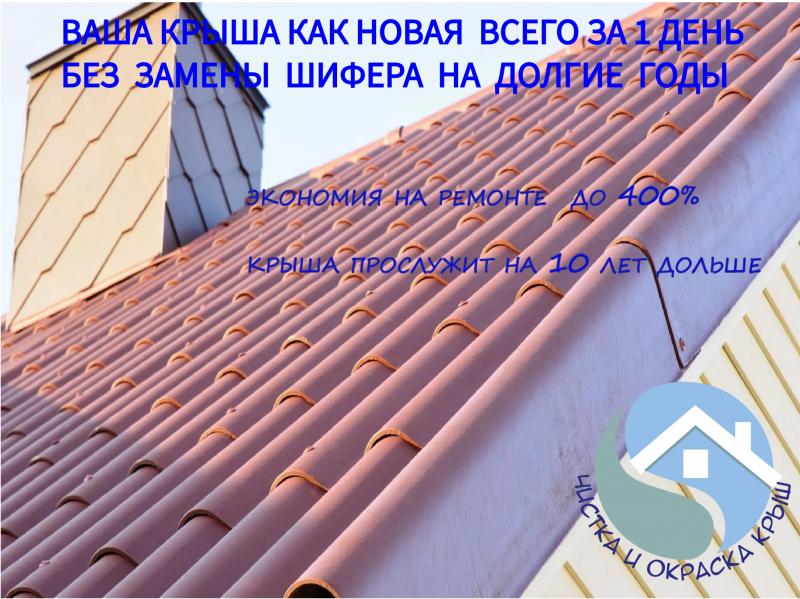 Дима:  Очистка, окраска и восстановление крыш