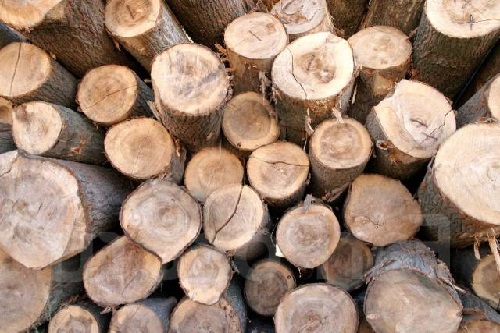 Павел:  Доставка дров