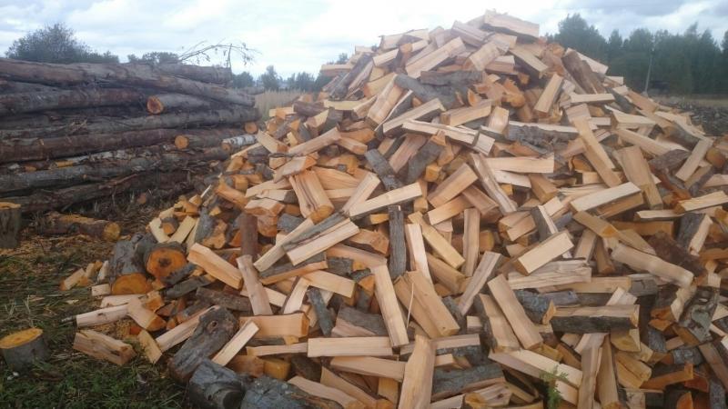 павел:  дрова береза