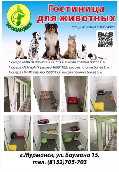 Гостиница для животных:  Гостиница для животных Зооландия г. Мурманск