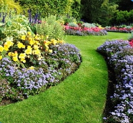 Art Garden:  Ландшафтный дизайн,  мощение и озеленение. 