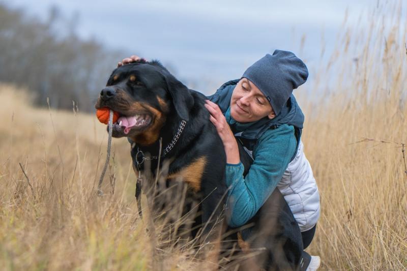 Оксана:  Фотосессия для собак и их людей