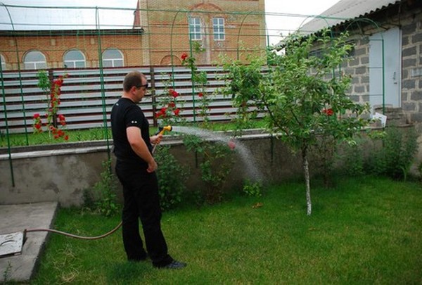 Системы автоматического полива