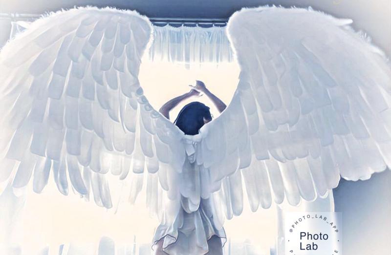 ксения:  Аренда больших крыльев ангела для фотосессии