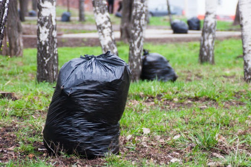 Виталий:  Уборка территории от мусора