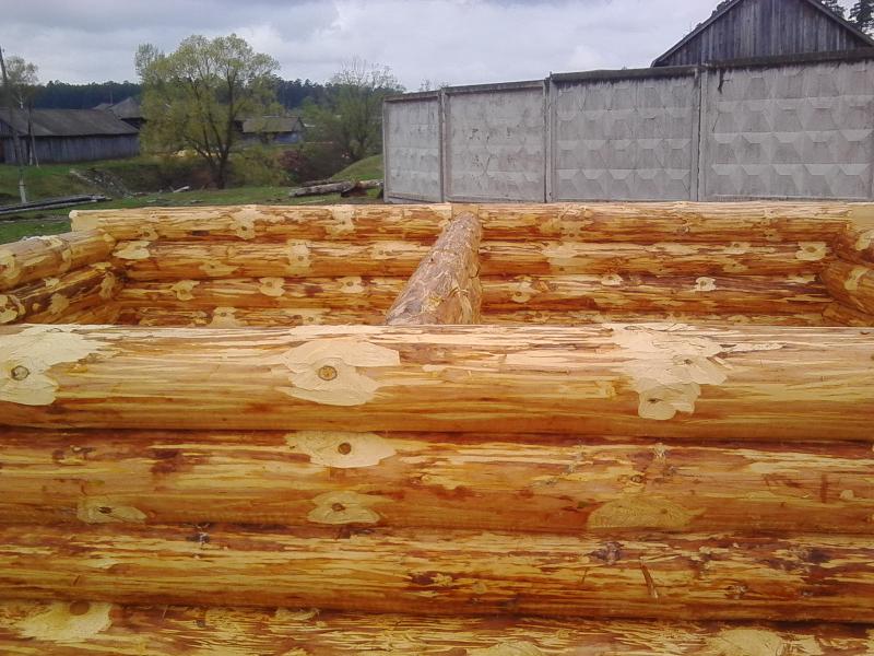 Сруб под баню 6 на 3