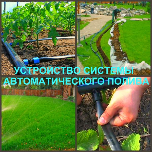 Ландшафтный дизайн Воронеж / Сад, благоустройство / Услуги Воронеж. Цены. Uslugio.com - объявления о услугах