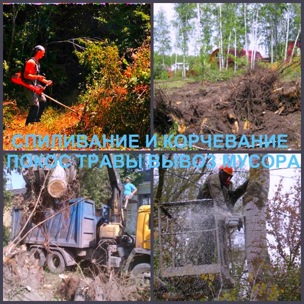 Ландшафтный дизайн Воронеж / Сад, благоустройство / Услуги Воронеж. Цены. Uslugio.com - объявления о услугах