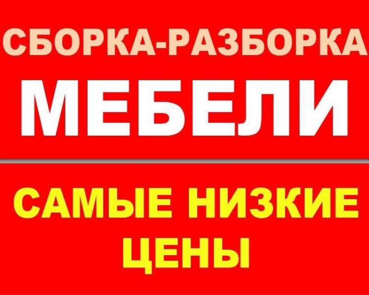 Ежедневные выплаты сборка мебели