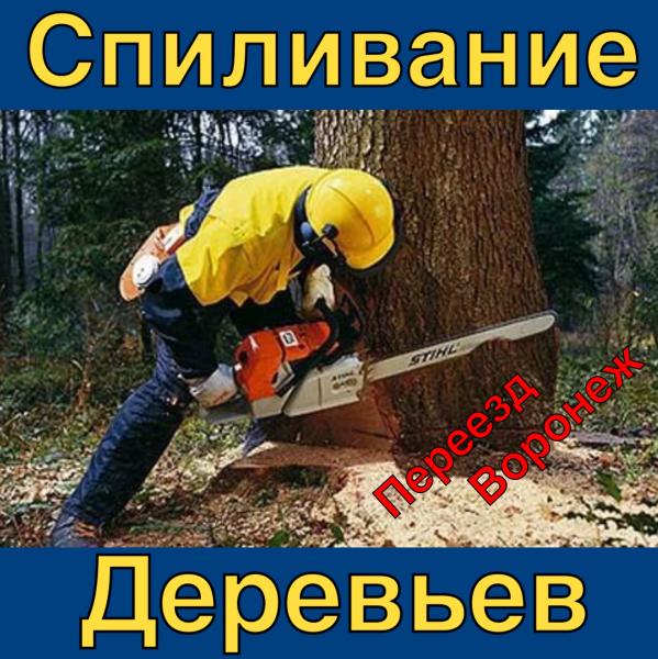 Спил деревьев воронеж. Спил деревьев воронеж