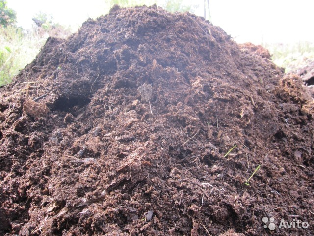 Навоз конский