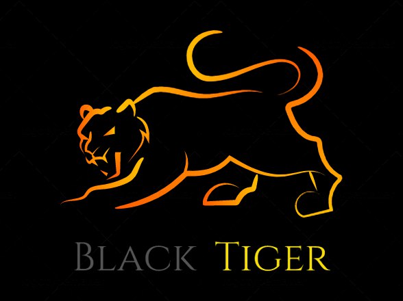 Black Tiger:  Расклейка листовок, активные промоутеры,  и др. реклама