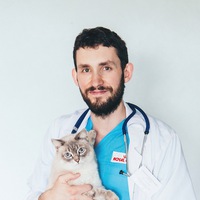 Дмитрий:  Ветеринар на дом