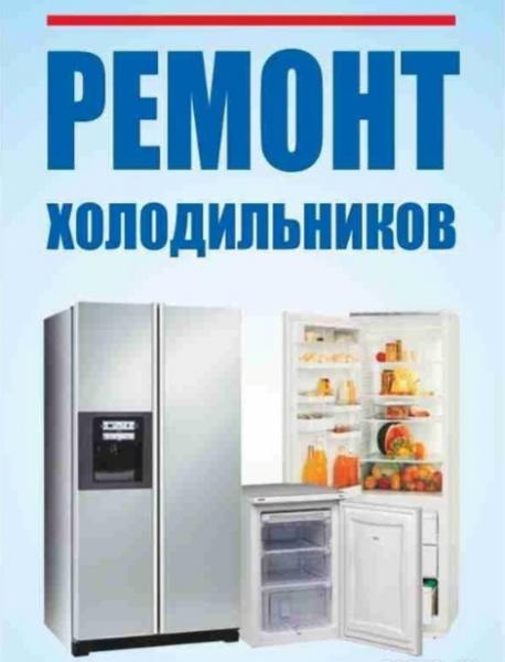 Максим:  Ремонт Холодильников в Окуловке и районе