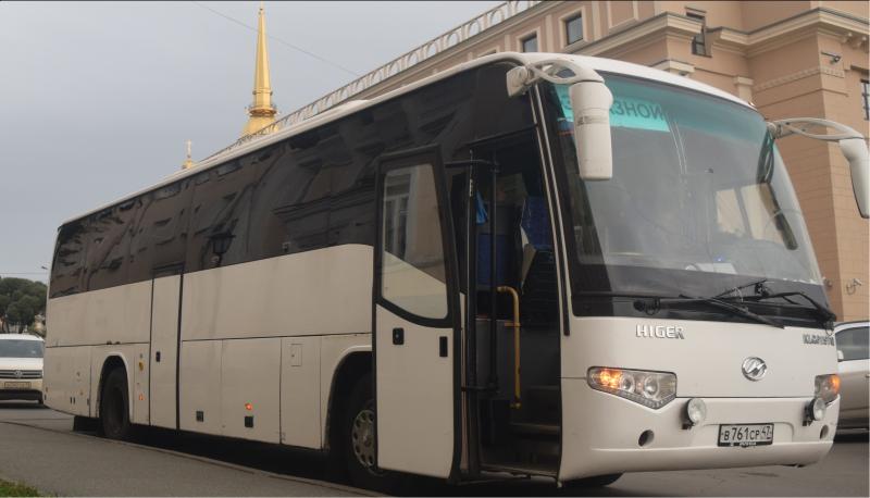 Хафизова Динара:  Заказ и аренда автобусов/Пассажирские перевозки